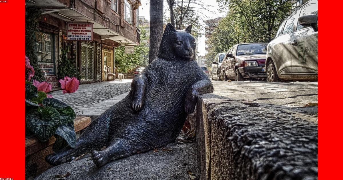 Best Cameras for Wildlife Photography in 2024